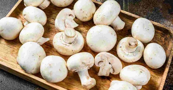 What Are The Disadvantages Of Eating Mushroom?