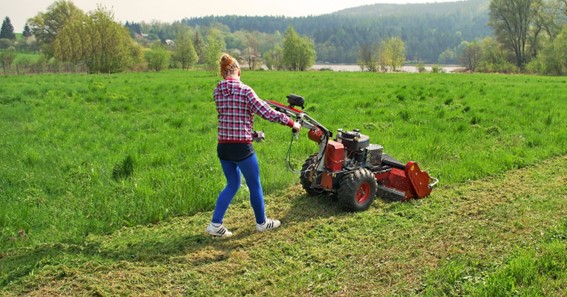 Disadvantages Of Mulching Grass
